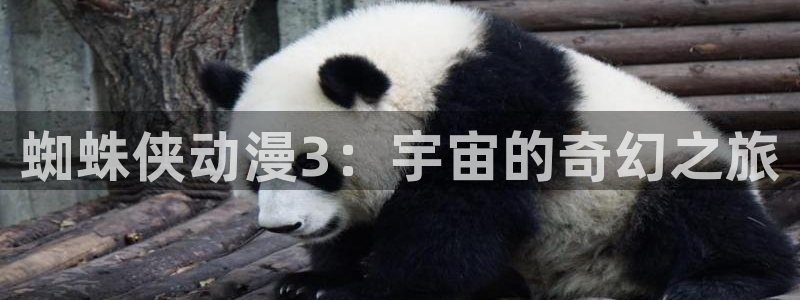 动漫天堂免费观看：蜘蛛侠动漫3：宇宙的奇幻之旅