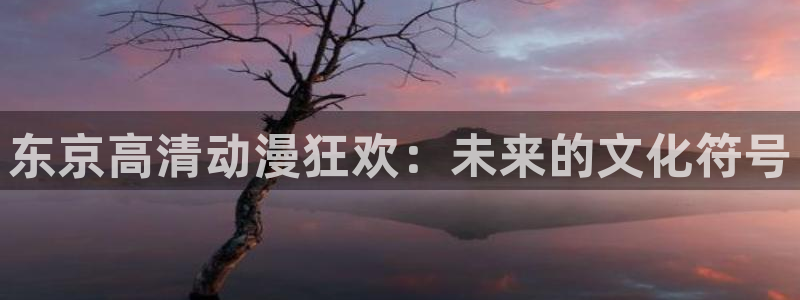 成人动漫天堂av：东京高清动漫狂欢：未来的文化符号