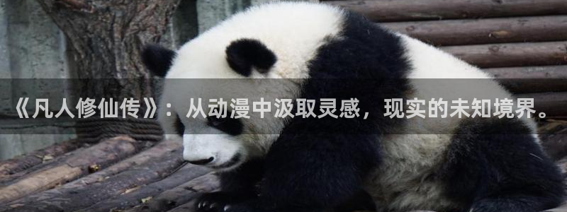 动漫天堂在线观看