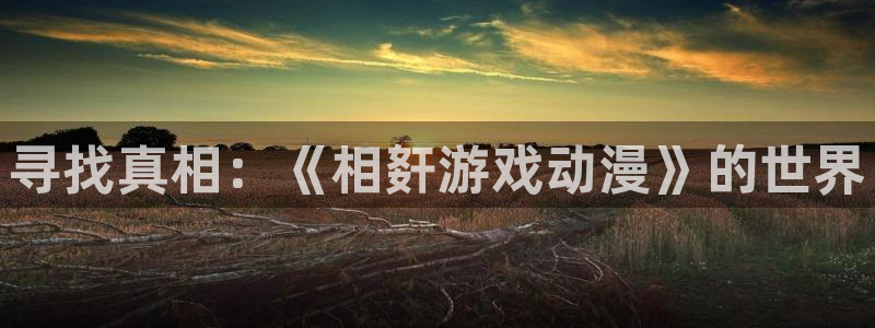 内地动漫天堂