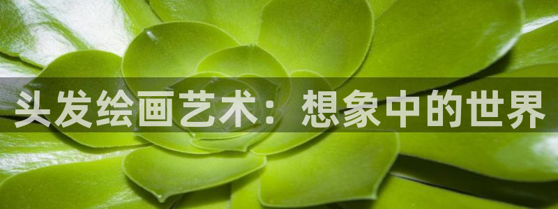 动漫天堂从哪下载安装