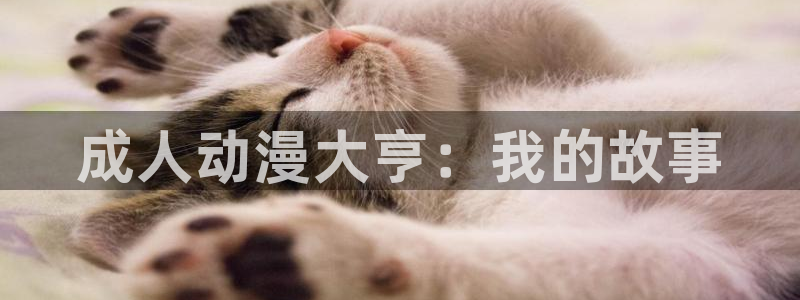 原神动漫天堂免费入口