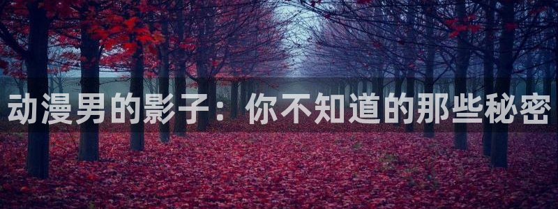 动漫天堂软件