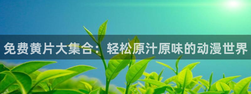 秋叶原动漫天堂