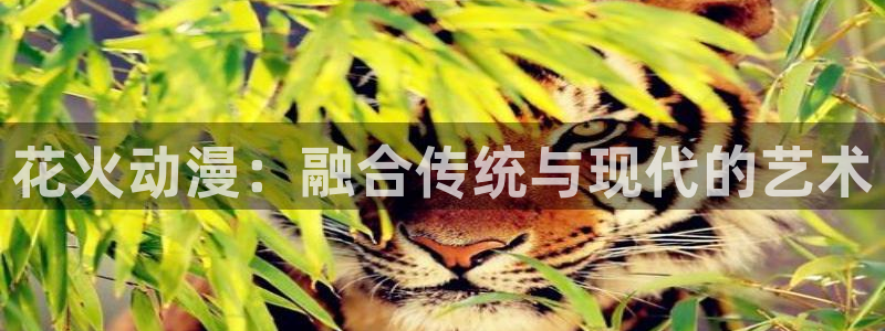 h动漫天堂