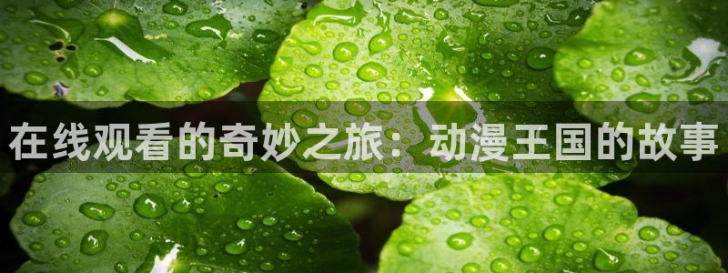 动漫天堂在线观看
