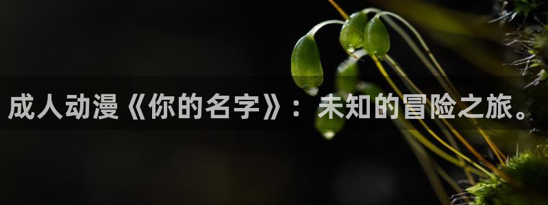 黄动漫天堂