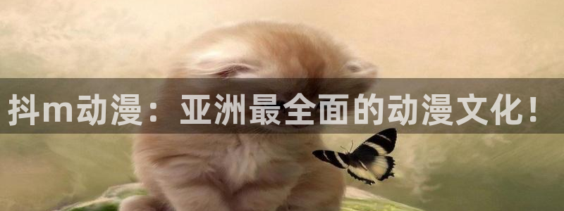 动漫天堂下载安装最新版