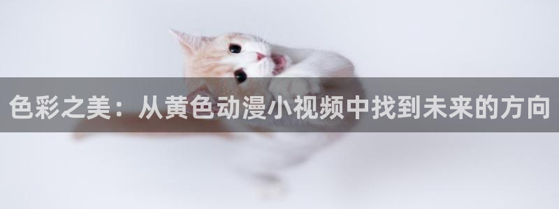 亚洲动漫天堂