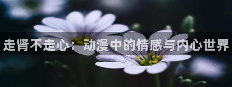 动漫天堂18