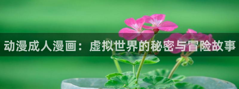 动漫天堂cc：动漫成人漫画：虚拟世界的秘密与冒险故事