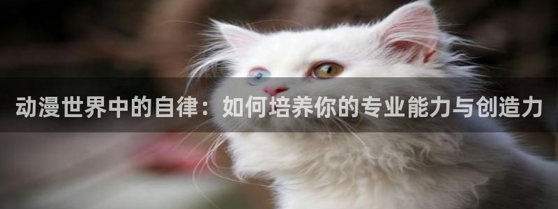 coco动漫天堂