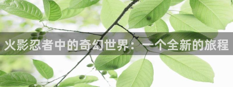 男人动漫天堂在线