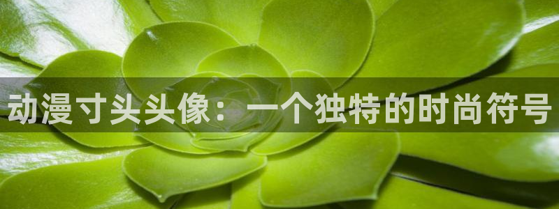动漫天堂网址