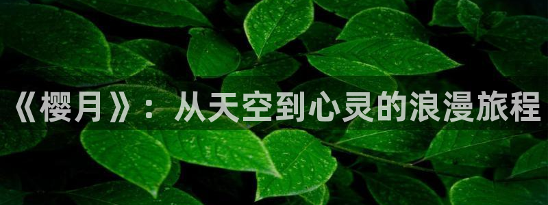 原神禁动漫天堂