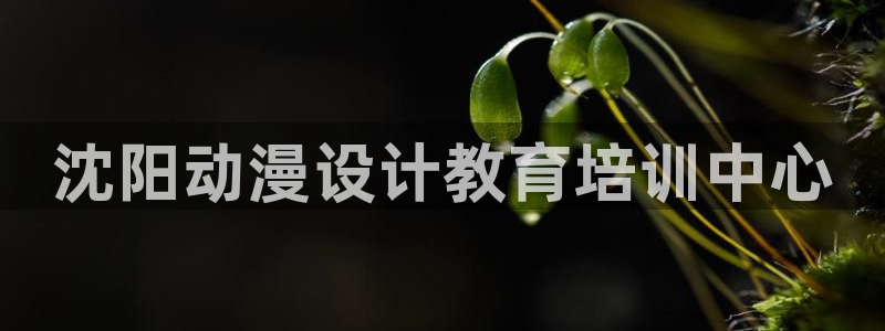 成人动漫天堂网