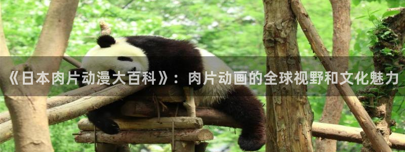 动漫天堂官方正版下载：《日本肉片动漫大百科》：肉片动画的全球视野和文化魅力