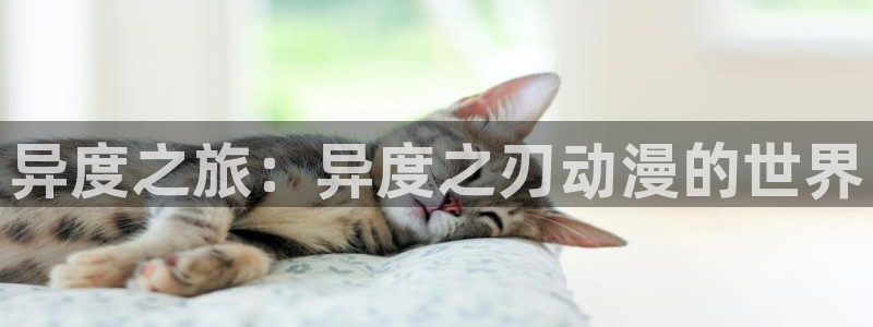 樱花动漫天堂