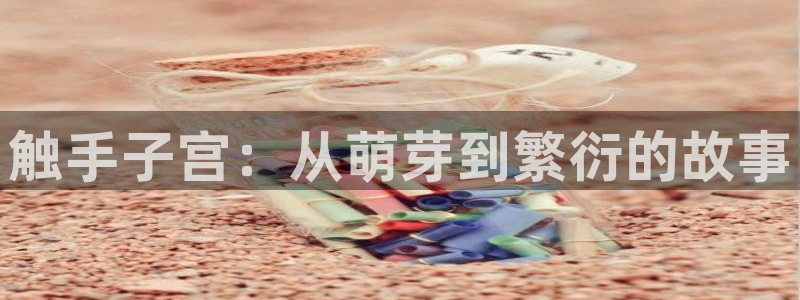内地动漫天堂：触手子宫：从萌芽到繁衍的故事