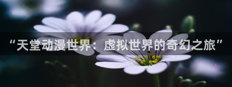 原神禁动漫天堂：“天堂动漫世界：虚拟世界的奇幻之旅”
