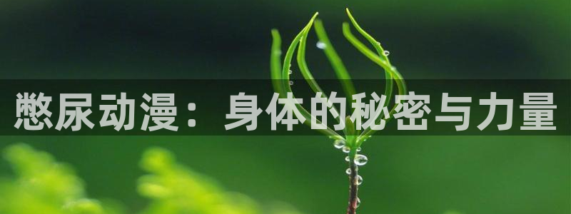 jk动漫天堂：憋尿动漫：身体的秘密与力量