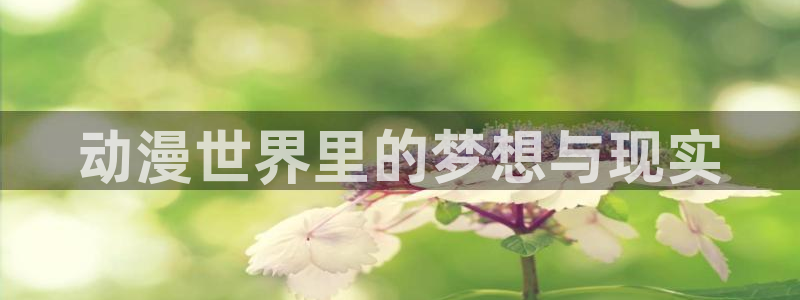 h动漫天堂：动漫世界里的梦想与现实