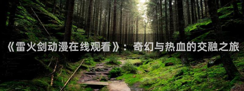 动漫天堂在线观看：《雷火剑动漫在线观看》：奇幻与热血的交融之旅
