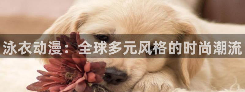 av动漫天堂网：泳衣动漫：全球多元风格的时尚潮流