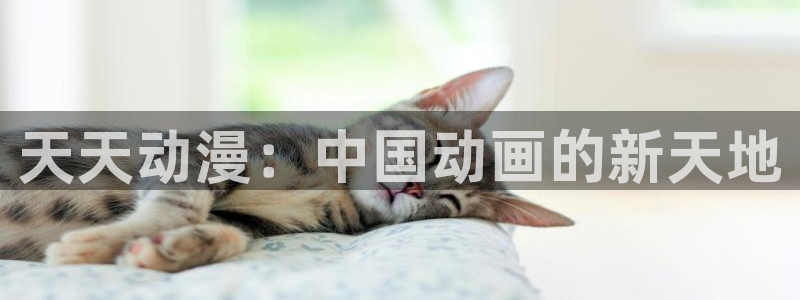 动漫天堂在线观看：天天动漫：中国动画的新天地