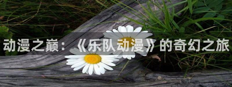动漫天堂下载：动漫之巅：《乐队动漫》的奇幻之旅