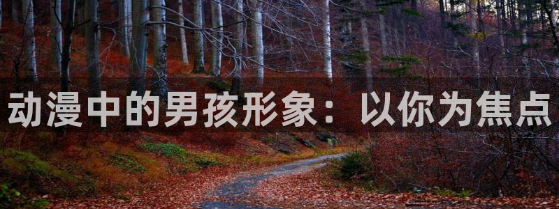 动漫天堂下载：动漫中的男孩形象：以你为焦点