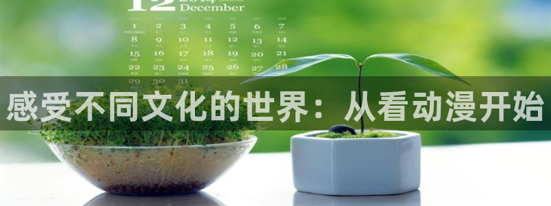 动漫天堂下载官方：感受不同文化的世界：从看动漫开始
