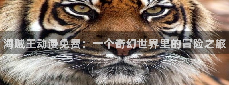 秋叶原动漫天堂：海贼王动漫免费：一个奇幻世界里的冒险之旅