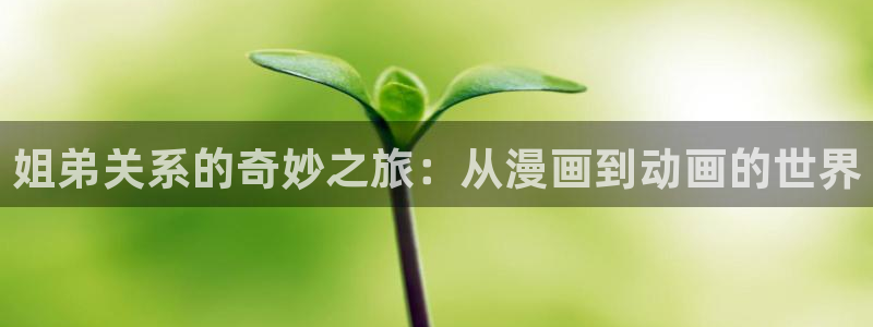 动漫天堂cc：姐弟关系的奇妙之旅：从漫画到动画的世界