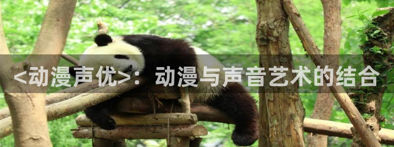 acg动漫天堂：<动漫声优>：动漫与声音艺术的结合