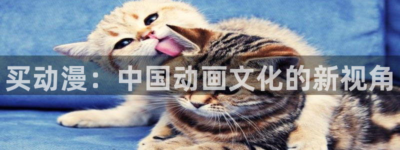 动漫天堂官网：买动漫：中国动画文化的新视角