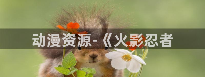动漫天堂软件：动漫资源-《火影忍者