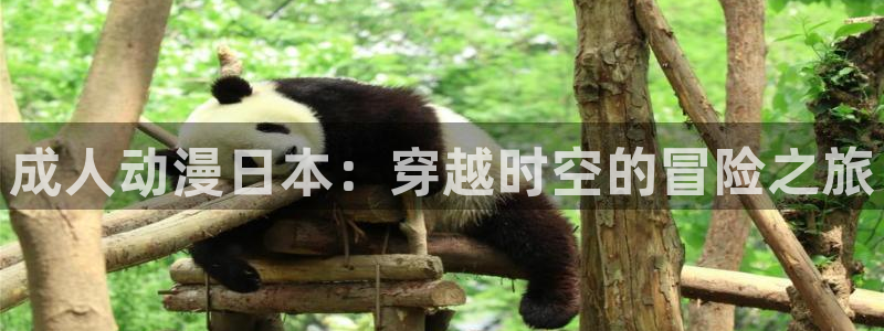 18动漫天堂：成人动漫日本：穿越时空的冒险之旅