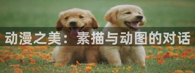原神禁动漫天堂：动漫之美：素描与动图的对话