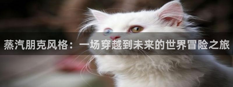 成人动漫天堂：蒸汽朋克风格：一场穿越到未来的世界冒险之旅