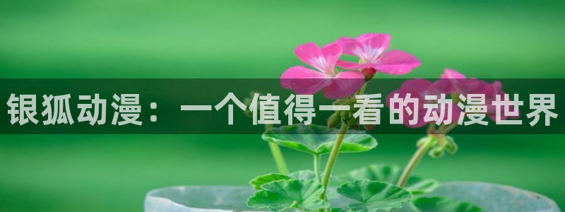 动漫天堂下载最新版：银狐动漫：一个值得一看的动漫世界