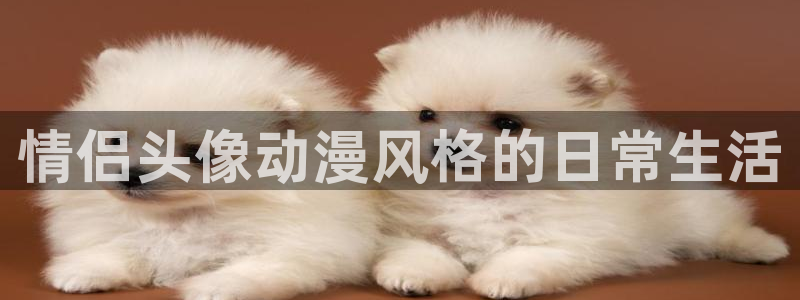 免费a漫动漫天堂.
