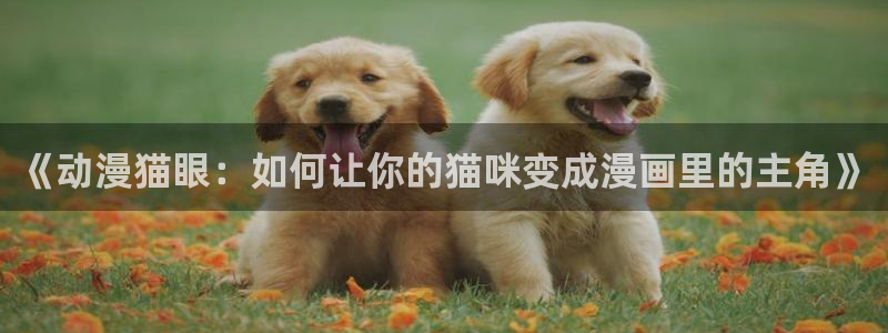 动漫天堂下载官方