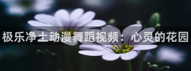 动漫天堂网址