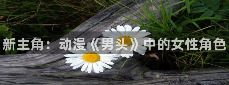 acg动漫天堂