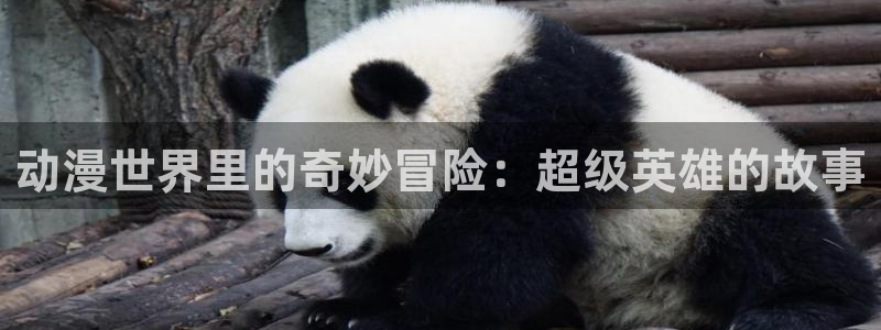 同人动漫天堂