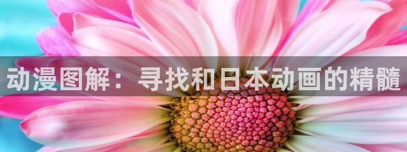 番剧推荐动漫天堂.