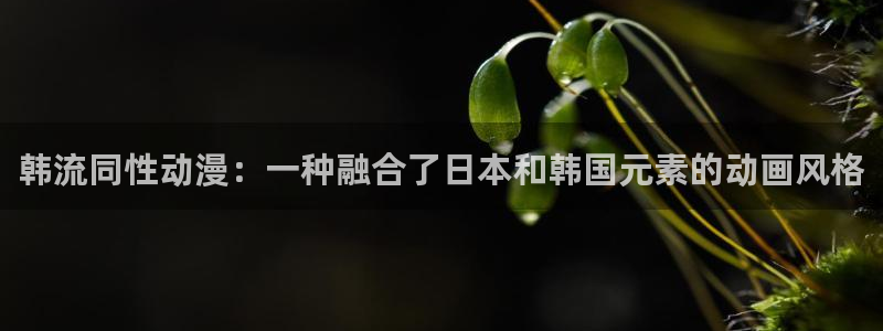 动漫天堂下载官方