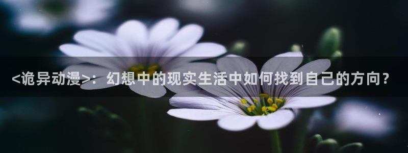 18禁动漫天堂