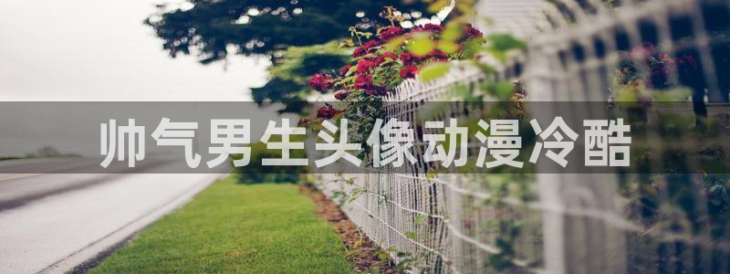 动漫天堂电影